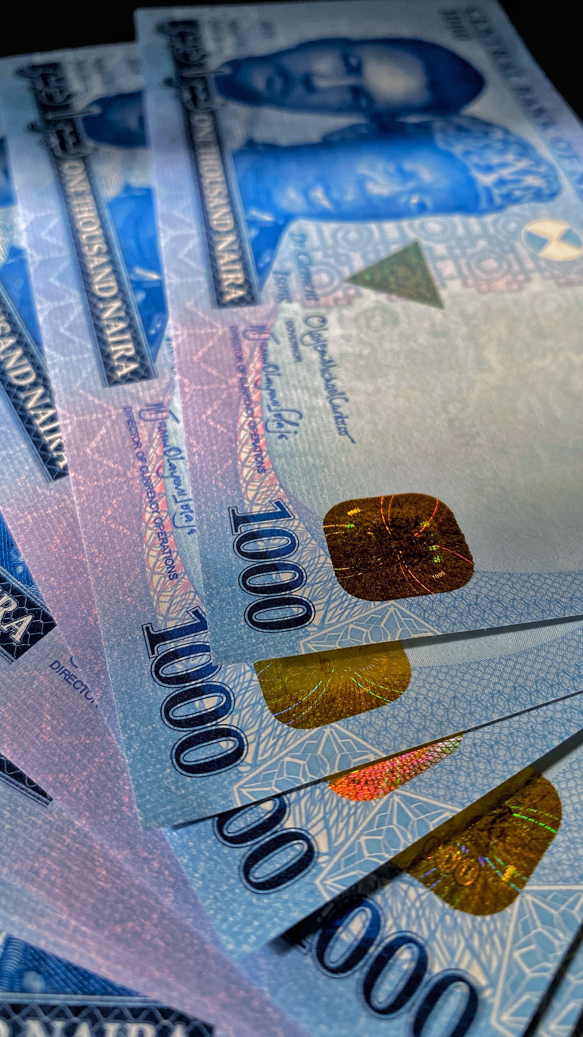 Fan of Nigerian one thousand naira banknotes